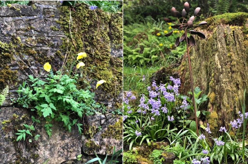 Nurturing the wild flowers is an easy way to celebrate national gardening week